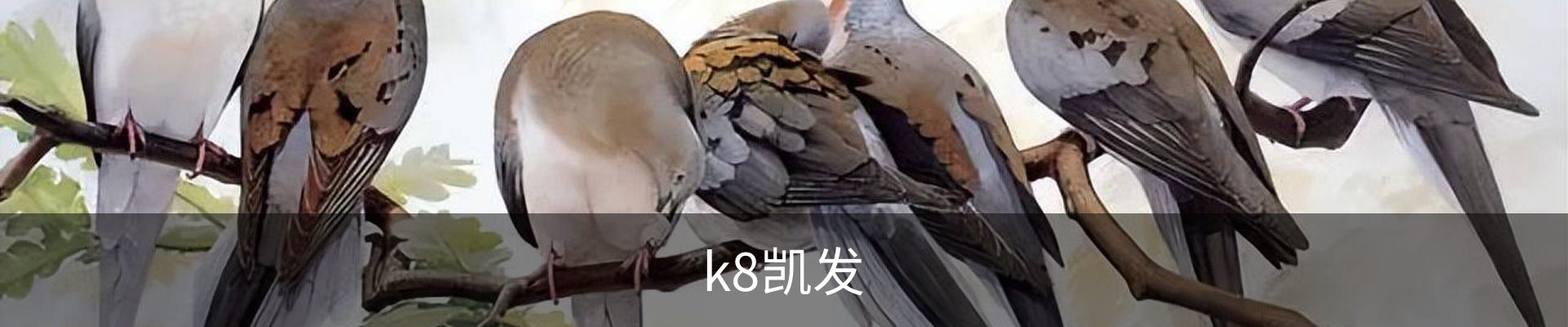 k8凯发